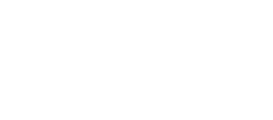 fevo logo